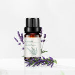 Lavender Essential Oil (5 ml)